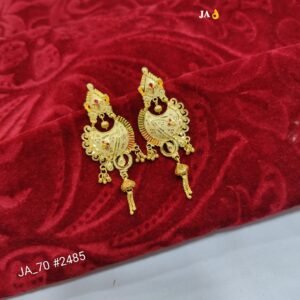 Traditional Gold-Plated Red Stone Detailing Earrings Party & Wedding Wear - DN 2485