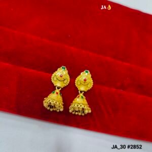 Gold Meenakari Traditional Jhumkas DN- 2852